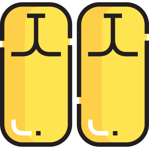Flip flops icon