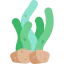 Seaweed icon 64x64