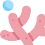 Coral icon 64x64