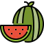 Watermelon icon 64x64