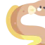 Eel icon 64x64