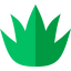 Aloe vera icon 64x64