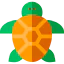 Turtle icon 64x64