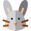 Rabbit icon 64x64