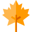 Maple leaf icon 64x64