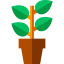 Plant icon 64x64
