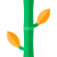 Bamboo icon 64x64