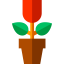 Flower icon 64x64