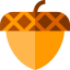Acorn icon 64x64