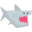 Shark icon 64x64