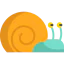 Snail icon 64x64