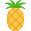 Pineapple Symbol 64x64