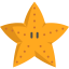 Starfish icon 64x64