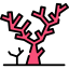 Coral icon 64x64