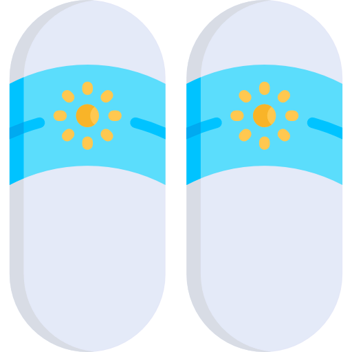 Flip flops icon