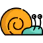 Snail icon 64x64