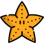 Starfish icon 64x64