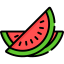 Watermelon icon 64x64