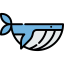 Whale icon 64x64
