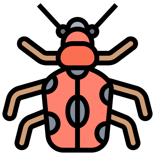 Beetle icon