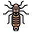 Earwig 图标 64x64