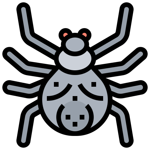 Spider icon