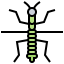 Stick insect icon 64x64
