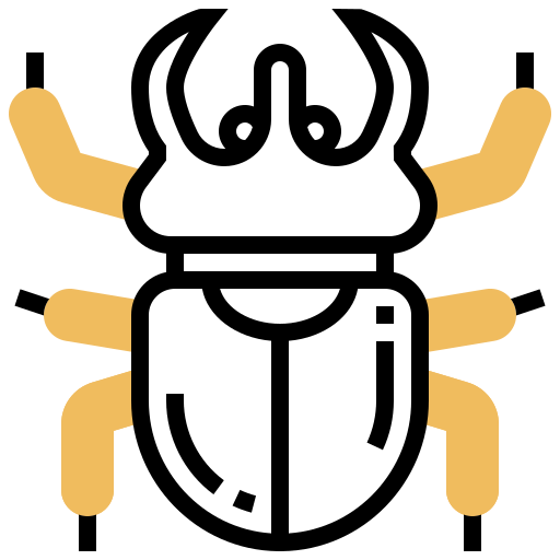 Beetle icon