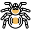 Tarantula icon 64x64