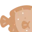 Flounder icon 64x64