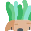 Sea anemone icon 64x64