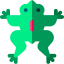 Frog icon 64x64