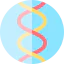 Dna icon 64x64