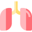 Lungs icon 64x64