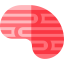 Brain icon 64x64