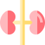 Kidneys Symbol 64x64