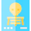 X rays icon 64x64