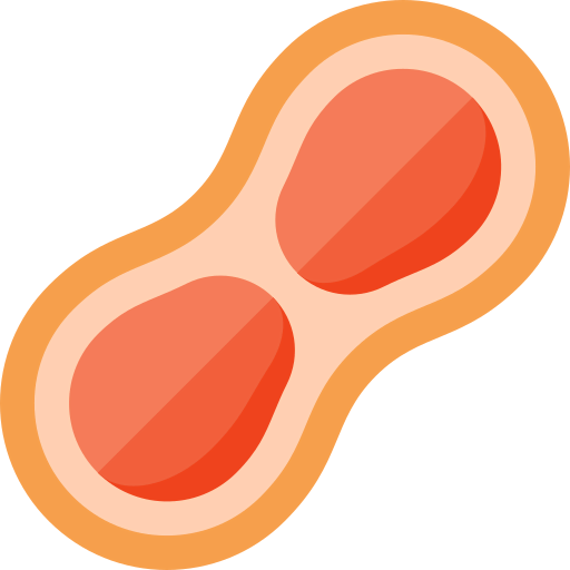 Peanut icon