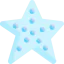 Starfish icon 64x64