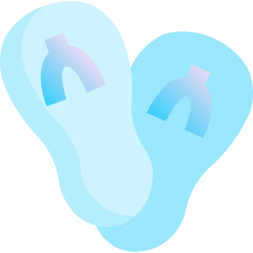 Flip flops icon