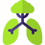 Green icon 64x64