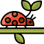 Ladybug icon 64x64