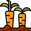 Carrots icon 64x64