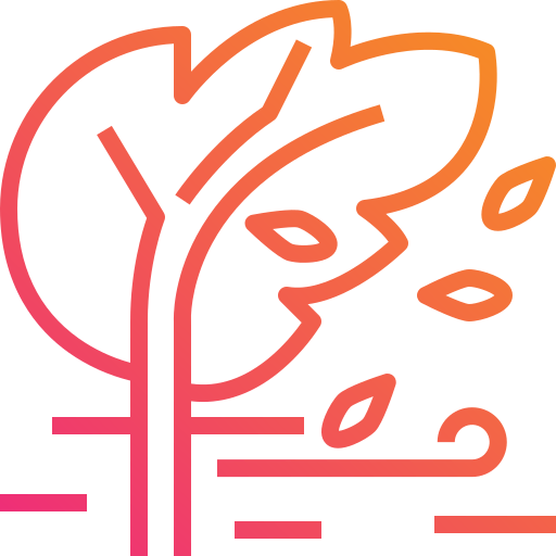 Wind icon