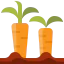 Carrots icon 64x64