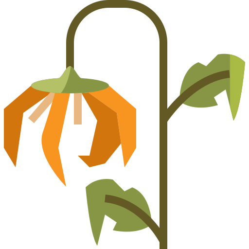 Sunflower icon