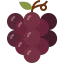 Grapes icon 64x64