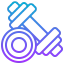 Dumbbells icon 64x64
