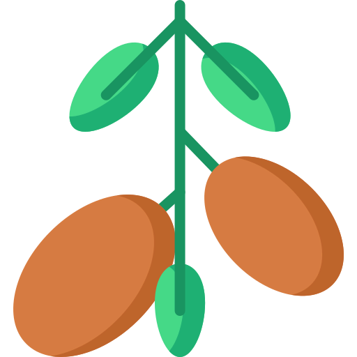 Argan icon