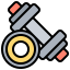 Dumbbells icon 64x64